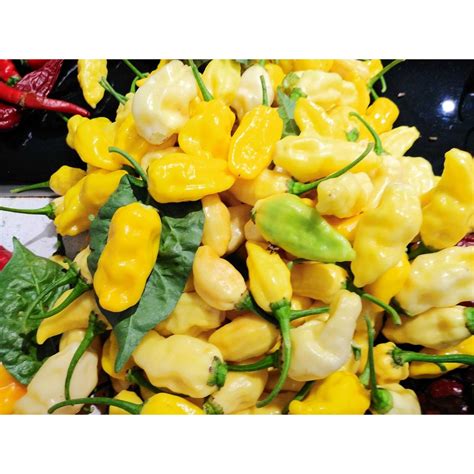 CLASSIC COUNTRY WITH ST. LUCIAN SEASONING ALL .